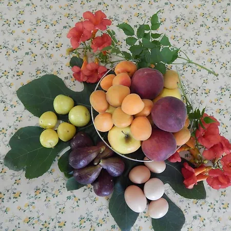 Ricciardulli Alojamento de Turismo Rural Policoro