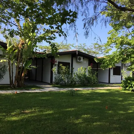 Ricciardulli Policoro