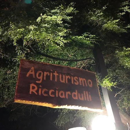 Ricciardulli *