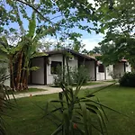 Ricciardulli