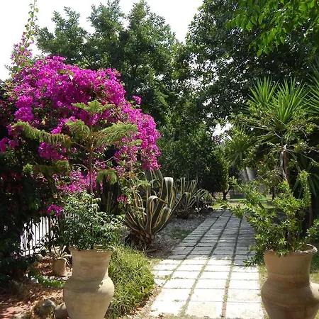 Farm stay Ricciardulli Rooms Policoro
