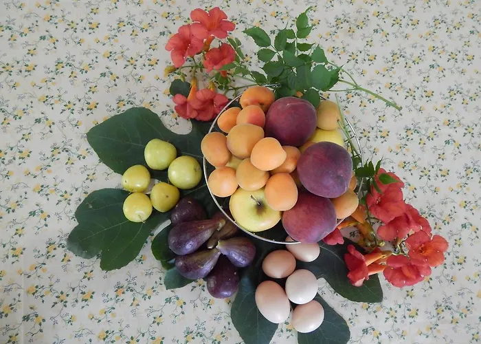 Ricciardulli Rooms Farm stay Policoro